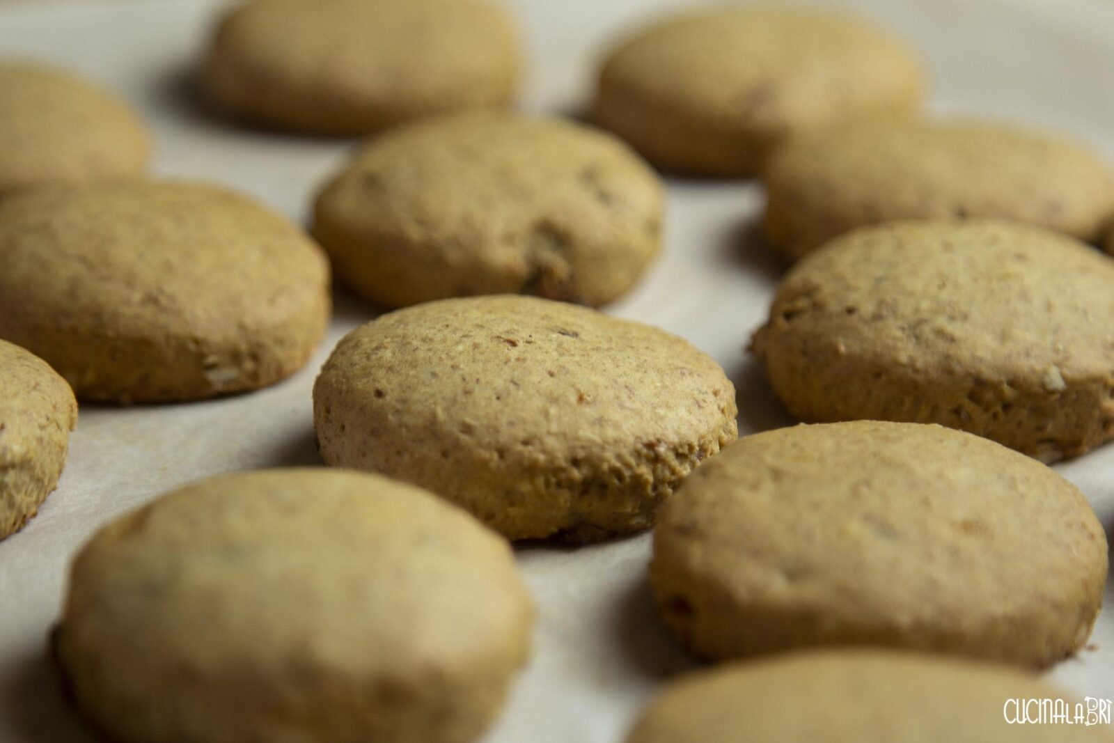 Biscotti di Farro, Mandorle e Uva Passa con Olio di Cocco - Cucinalabri
